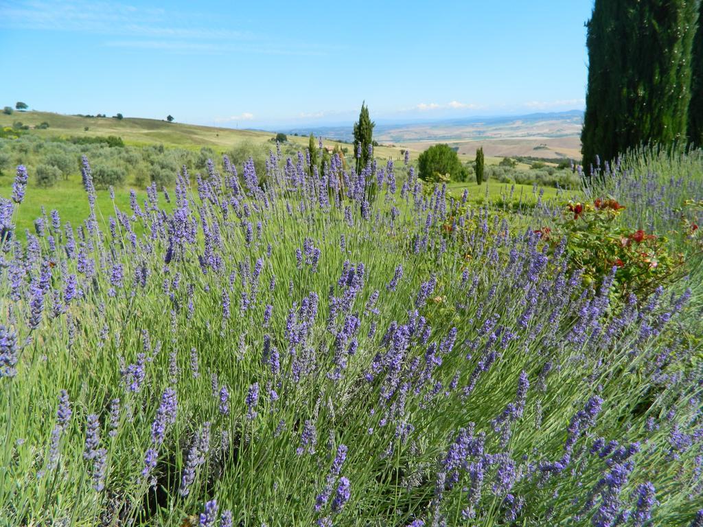 Villa Le Rogheta Campiglia dʼOrcia Exterior foto