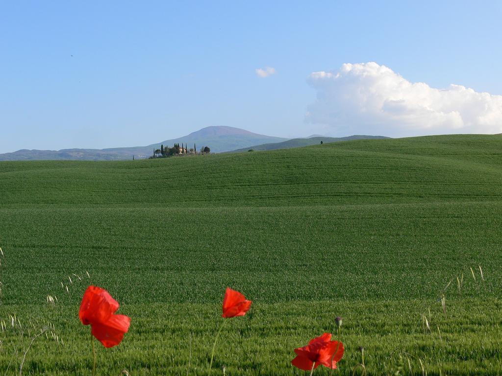 Villa Le Rogheta Campiglia dʼOrcia Exterior foto